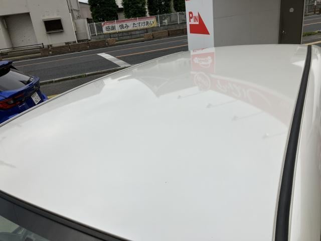 18304938_carP_l_17.jpg