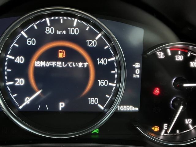 ec5007c67a854cd88049e17c8b8c3245.jpg