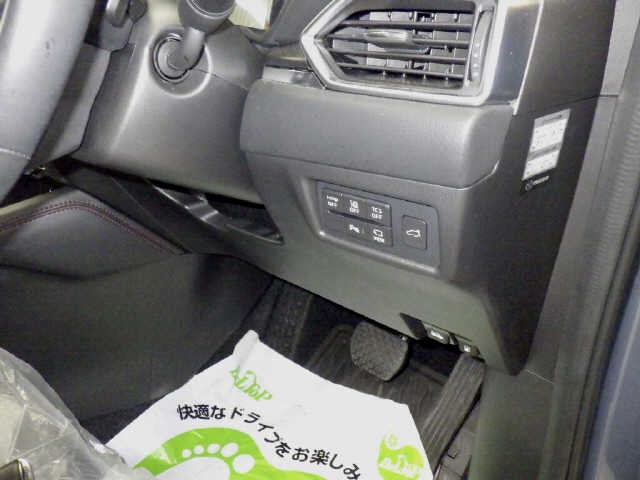 6020064e49fff94cc22ae4b0d6fdadf2.jpg