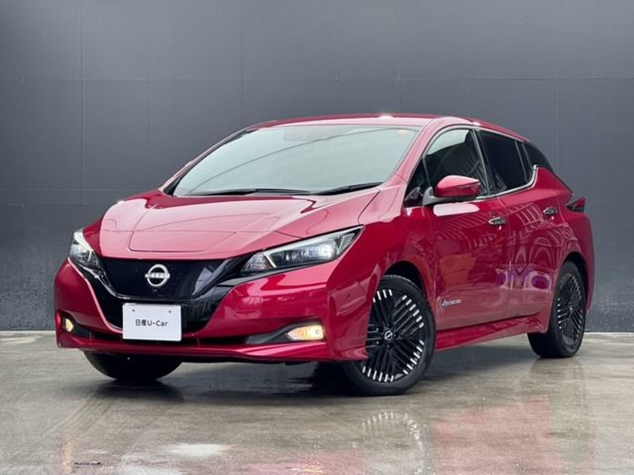 2022 Nissan Leaf Standard for sale in Kenya