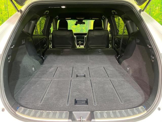27094330_carP_l_5.jpg