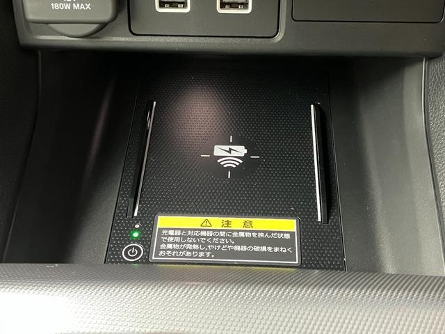 1020099A30260501W00115.jpg