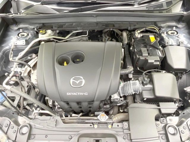 ec92b200af74994cd0b03d56ca10f268.jpg