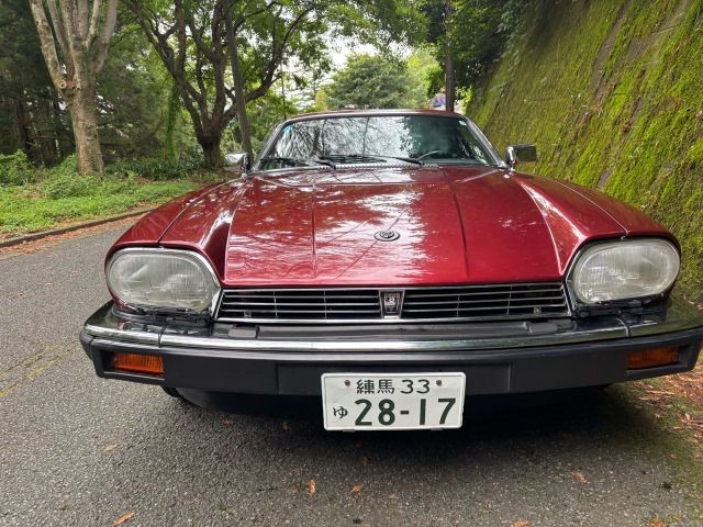 1e1564e851a4d4485ace1602fd85eafb.jpg