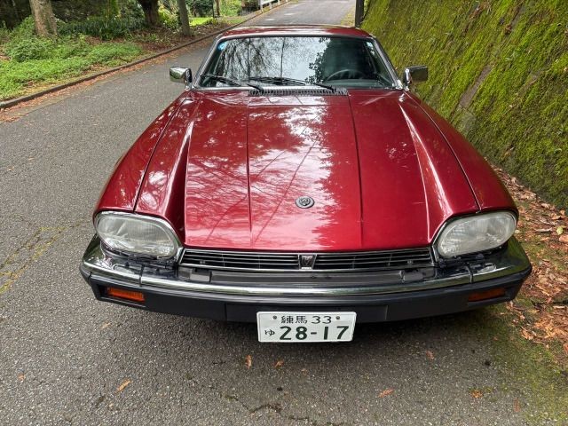 4fd0c550dbd9cbb29a35cc4821999e0f.jpg