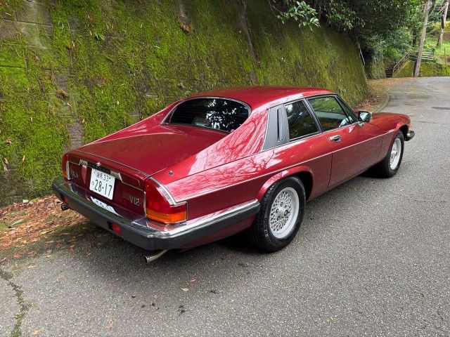 ae9fb0b0d97c9db084e05425008cf02a.jpg