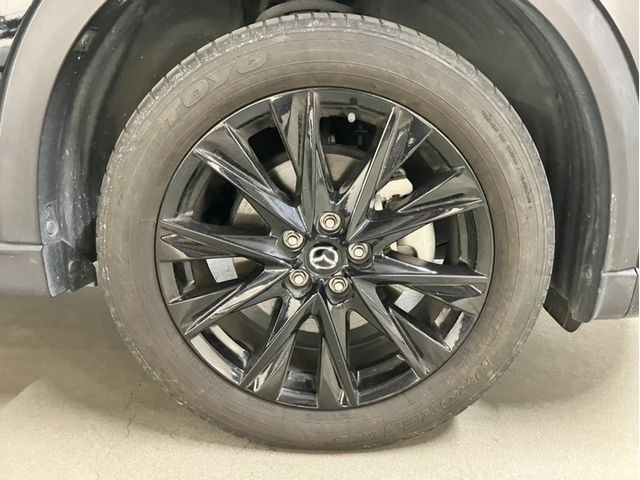 21951bc883b64f4daf8d878eef804785.jpg