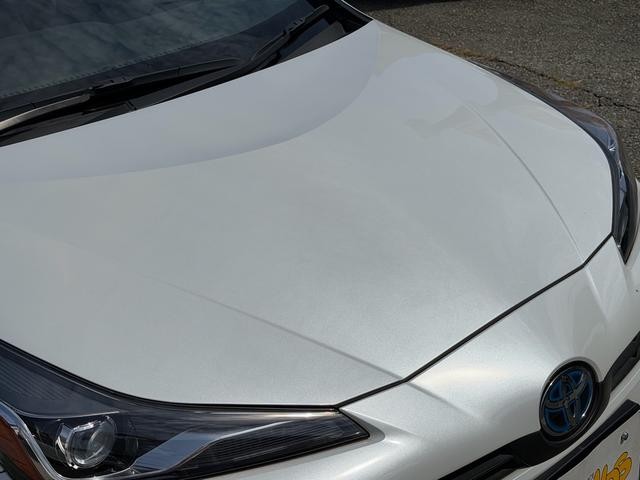 0706195A30261016W00410.jpg