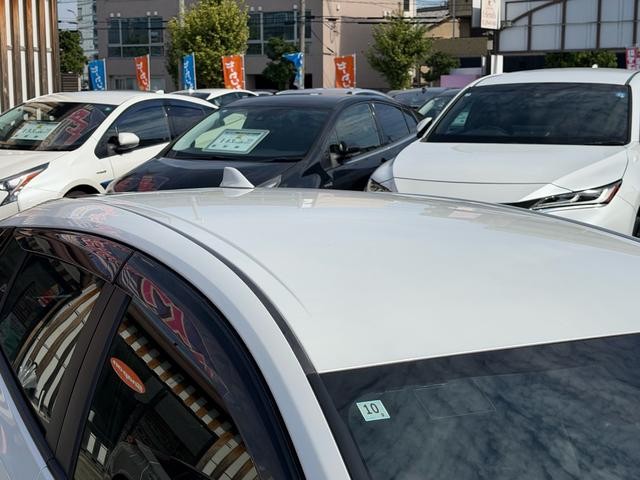 0706195A30261016W00414.jpg