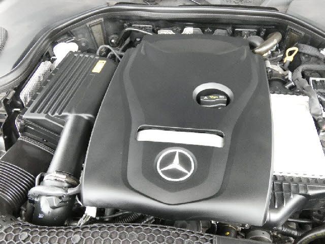 e85b4a7df6a6efa3a80e184cf6fe41e1.jpg