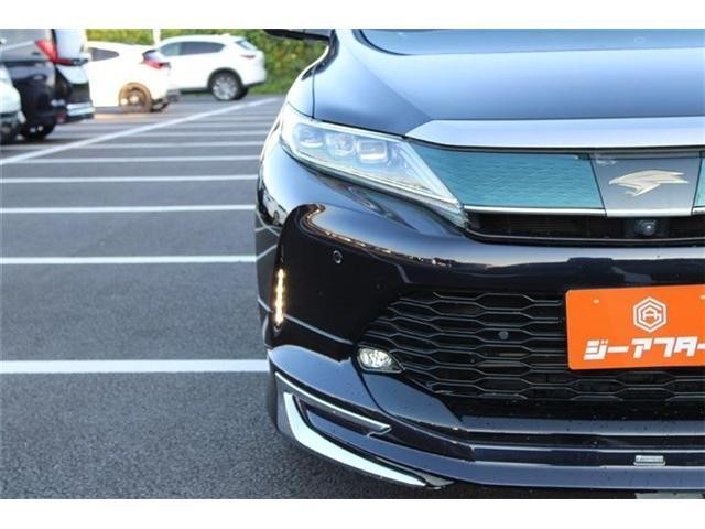 26681980_carP_l_19.jpg