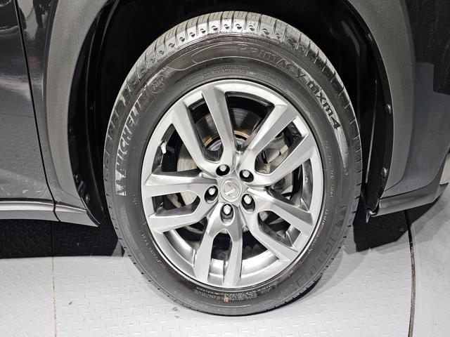 05881fef5bfc6eed755047a9ddc62497.jpeg