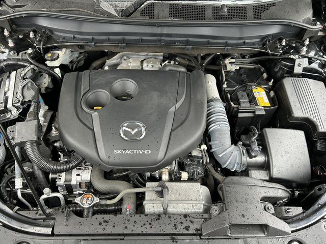 e94434e31e8e432ca36e2d6e02342fd0.jpg