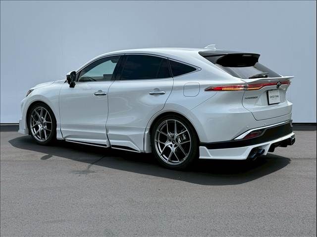 8162fd40a2428ae88f421c4d20f9953b.jpg