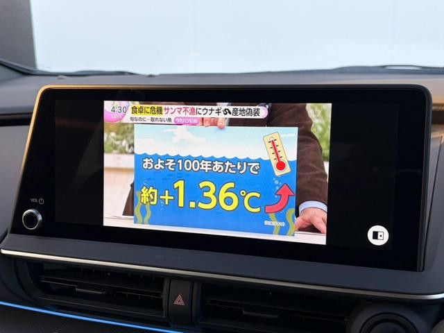 0708795A30261029W00113.jpg