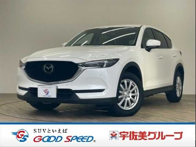 c895f7b8fe04c24a5cd638133a125cf8.jpg