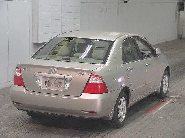 1c6af8811505b1ef997c511196820b29.jpg