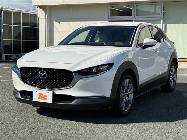 fc3e842da7a370ac08ea2632392d394e.jpg