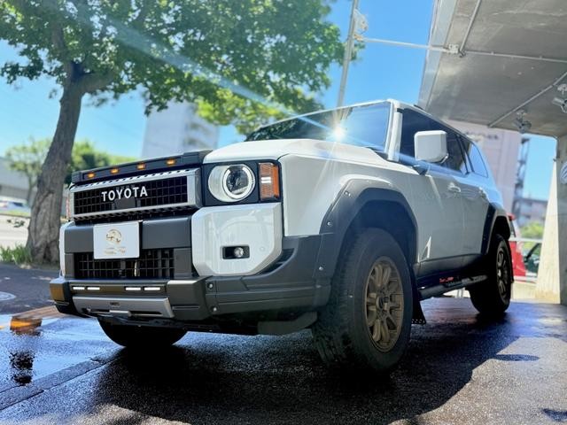 0303744A30261021W00413.jpg