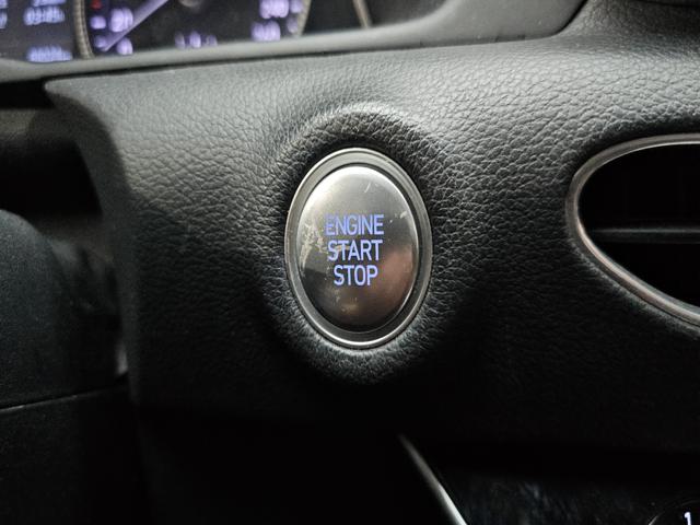 53c540419fdcd4a8e326c7d2d0d4b70d.jpeg