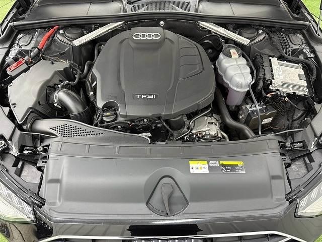 0208813A20261001D00313.jpg