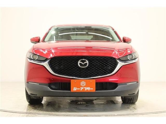 3dfbcab070fa6d62fbd70bd434e12721.jpg