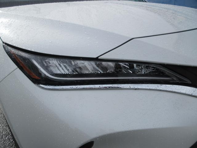 bc1e65ffbdb6449f462eba2e9022a6de.jpg