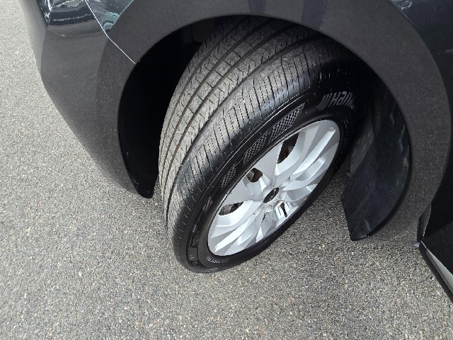 04eab4ba840d75ae4f904a1947c4c9d2.jpeg