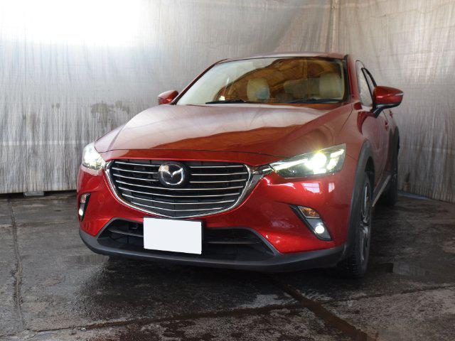 8a272ebea261ea950cc22f5f887c0d71.jpg
