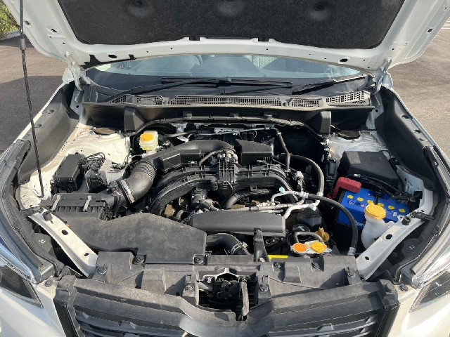 0e3918d16fcd3a3430ec473d36ec8893.jpg