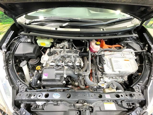 97ff50a1ae9236bb24c22d2a097a1516.jpg