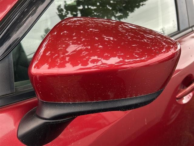 0903516A30260924W01805.jpg