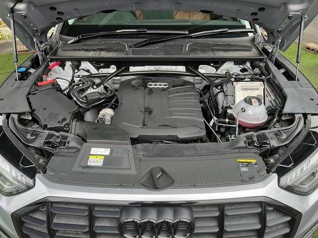 8039026803a43f5ebec74faf7d366ad5.jpg