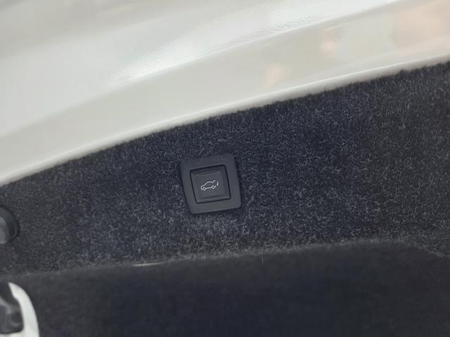 54144fca3cbde2423d8007738f9b4382.jpeg