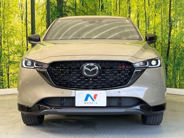 eb2757c55945537ccdbfe7e77e68583a.jpg