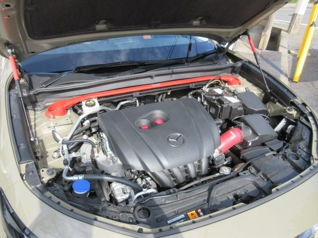 27144658_carP_l_17.jpg