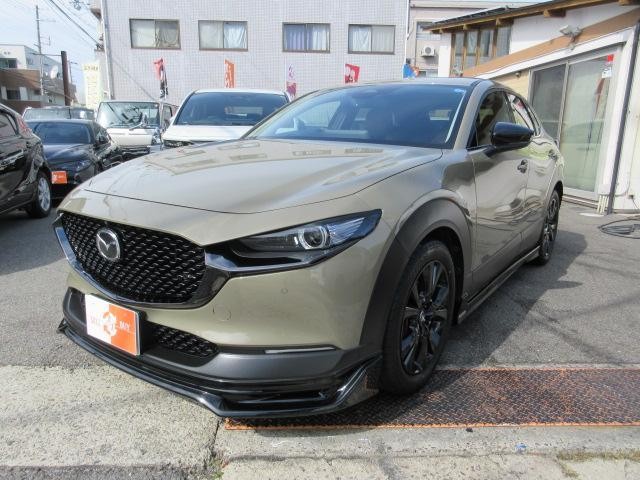 27144658_carP_l_7.jpg
