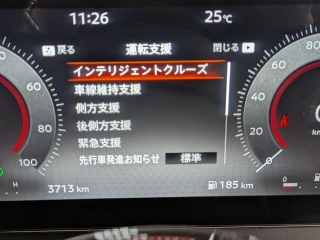 26689278_carP_l_14.jpg