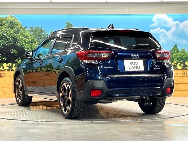 215cc1cd6ca37ee726dd5e431657c590.jpg