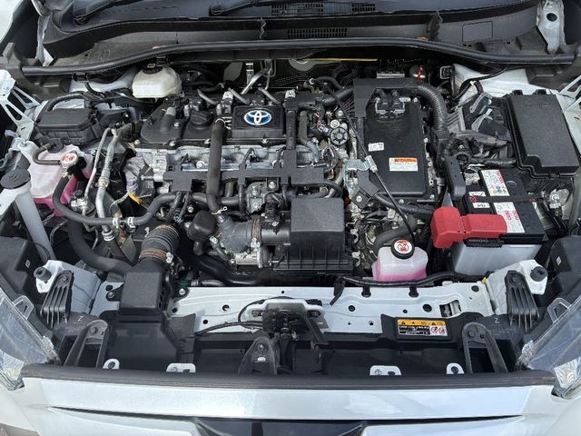 98832e85f17a82e621330936fef653c1.jpg