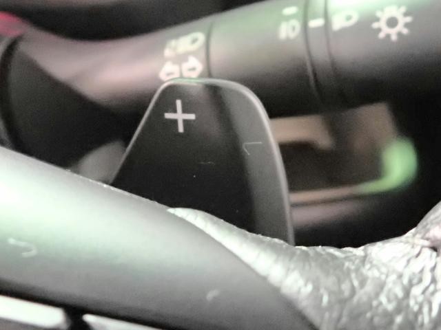 0230024A30261029W00608.jpg