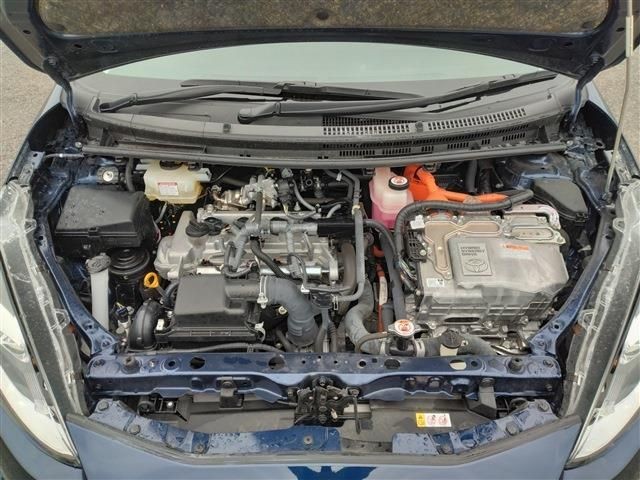 7962241491a181f049ad6418eb2e85d7.jpg