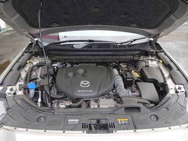 8e4e386799e46fd165ab2aee8326b7d6.jpg