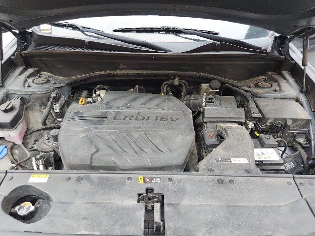 lotterental_145630224_oUcoQ_8.jpg