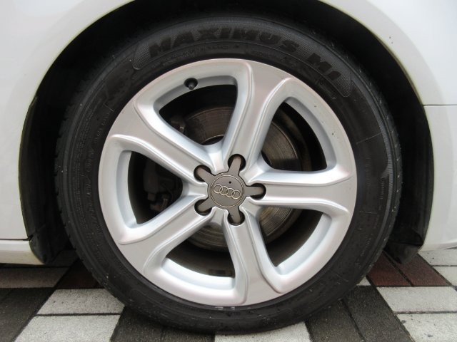 0975caf489b874dbf56455b202b94761.jpg