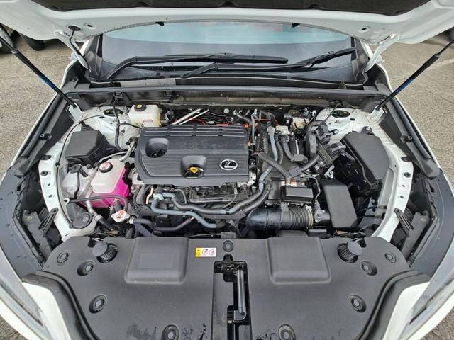 26689325_carP_l_10.jpg