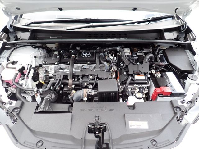 44b5ae95e65c979ff0cc349b4af14e04.jpg