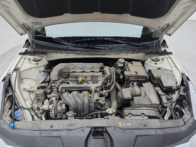 lotterental_103336881_KLBRN_8.jpg