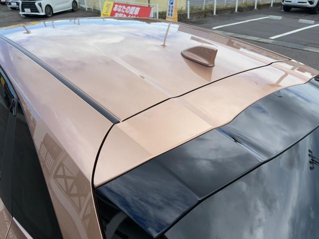 0910314A30260831W00107.jpg
