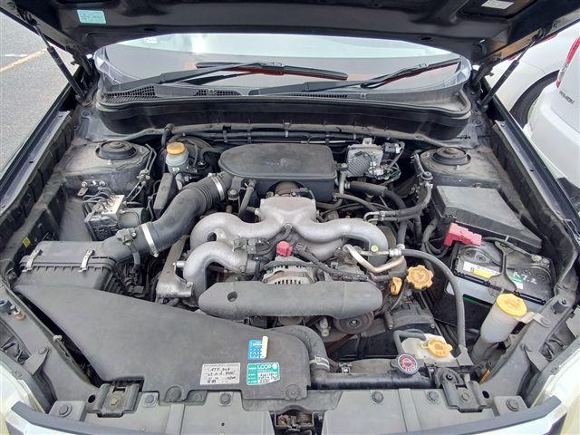 08.jpg
